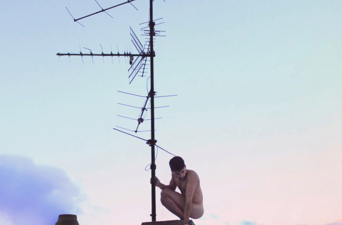 Can you hear it? | CircusDanceFestival 2020