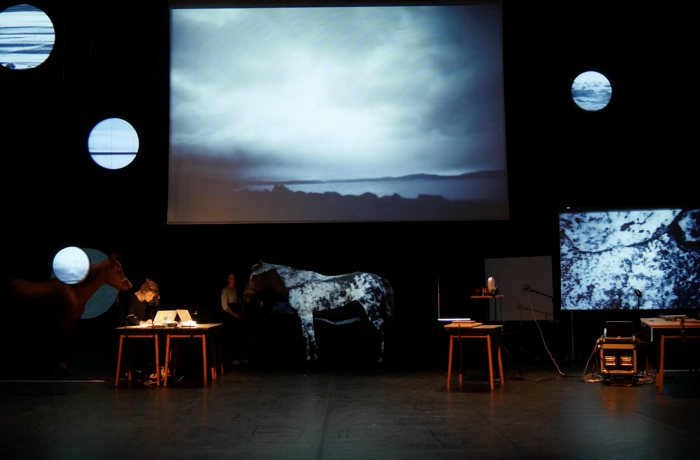 (More than) Human? Staging Strategies in Contemporary Circus